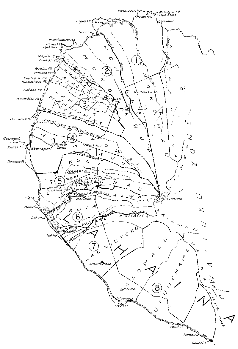 Tax Map for West Maui